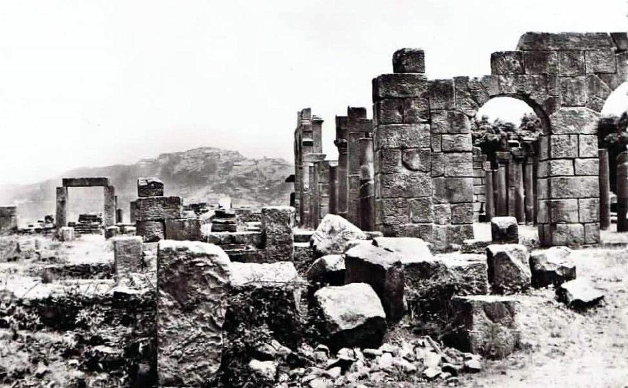 ALGERIE-RUINES ROMAINES DE TIGZIRT (36).jpg